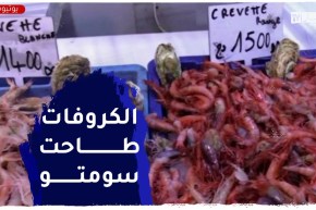 سوق السمك..أسعار الجمبري تتراجع والسردين يستقر عند 650 دج