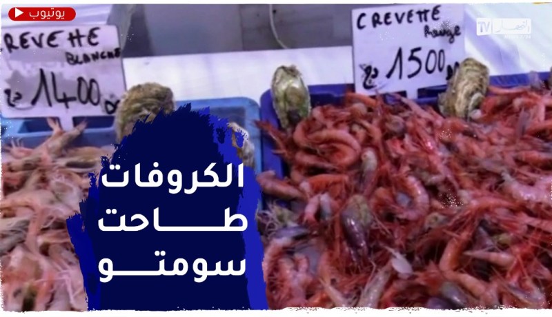 سوق السمك..أسعار الجمبري تتراجع والسردين يستقر عند 650 دج