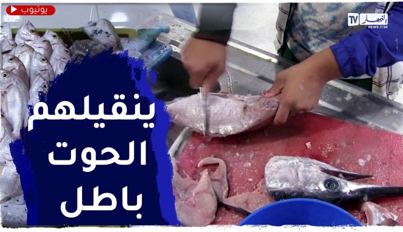 تنظيف الأسماك وتقديمها لزبائنها جاهزة..طريقة المسمكات لجذب الزبائن