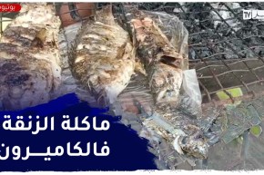 “السمك المشوي..أكل شوارع الكامرون أكثر طبق مطلوب “يشروه رخيس