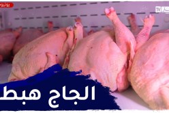 البليدة: تراجع في أسعار الدجاج إلى 330دج بعد 6 أشهر من الإرتفاع