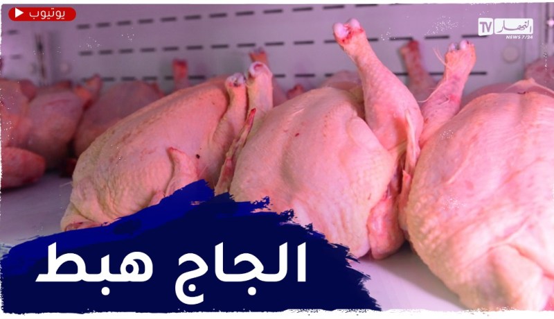 البليدة: تراجع في أسعار الدجاج إلى 330دج بعد 6 أشهر من الإرتفاع