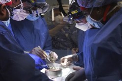 العلماء يعلِّقون على زراعة قلب خنزير في جسم إنسان