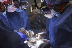 إجراء أول عملية زراعة قلب خنزير في جسم إنسان.. كيف هذا !