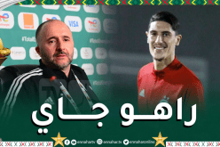 بلماضي يزف أخبارا مفرحة عن تاهرات