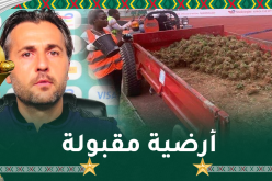 بوميل يستفز بلماضي بهذا التصريح..” أرضية جابوما مقبولة”!