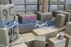 حجز قرابة قنطارين من الكيف المعالج عبر الحدود الغربية للوطن