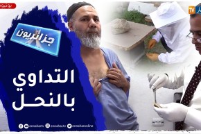 جزائريون: العلاج بسم النحل.. أسرار لا تنتهي