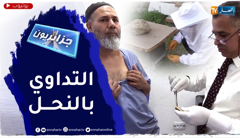 جزائريون: العلاج بسم النحل.. أسرار لا تنتهي