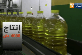 ميزانية ضخمة لدعم إنتاج زيت المائدة .. اين الخلل والندرة؟