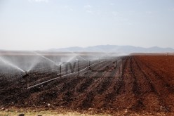 وزارة الفلاحة: إستغلال 3.2 مليون هكتار من المساحات الزراعية