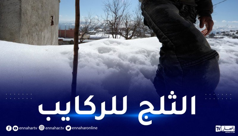 ثلوج ورياح تتعدى 50 كلم/سا في هذه المناطق