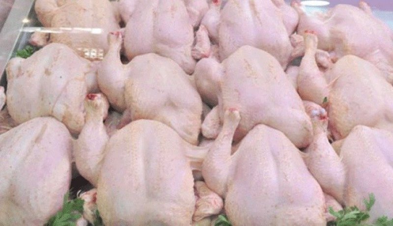 هذه شروط إنخفاض أسعار الدجاج