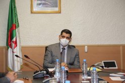 وزير النقل: تشكيل 3 لجان في النقل البري للمسافرين ونقل البضائع وسيارات الأجرة