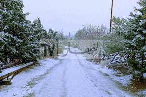 أمطار وثلوج على هذه الولايات اليوم وغدا