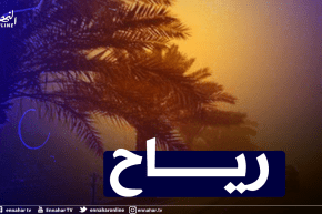 رياح قوية تصــــــــــل سرعتها إلى 50 كلم/سا في الجنوب