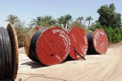 مستغانم: تصدير ما قيمته 4 ملايين يورو من الكوابل الكهربائية إلى السنغال