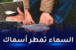 ظاهرة لم يشهدها التاريخ.. أسماك تهطل من السماء في هذه المدينة!