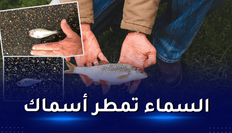 ظاهرة لم يشهدها التاريخ.. أسماك تهطل من السماء في هذه المدينة!