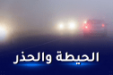 شلل واضطراب في حركة المرور بسبب الضباب والجليد