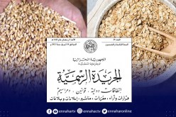 تعرف على الأسعار الجديدة للحبوب مباشرة من الفلاحين