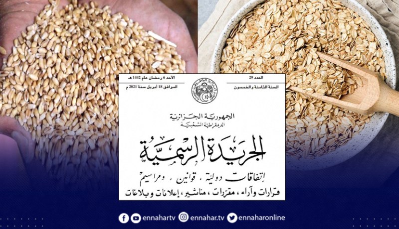 تعرف على الأسعار الجديدة للحبوب مباشرة من الفلاحين