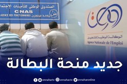 منحة البطالة.. تفاصيل جديدة لخريجي الجامعات والمعاهد ومراكز التكوين المهني
