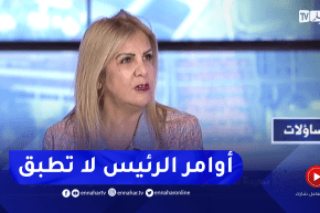 سعيدة نغزة: رئيس الجمهورية يعطي أوامر مباشرة لكن لا تطبق والمتعامل الإقتصادي ولى يخاف