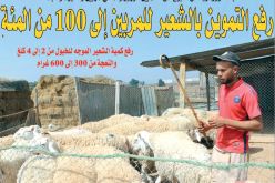 زيادة التموين بالشعير للمربين إلى 100 من المئة