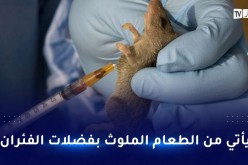 حمى لاسا.. فيروس نادر يسبب الصمم ينتشر في انجلترا ؟!