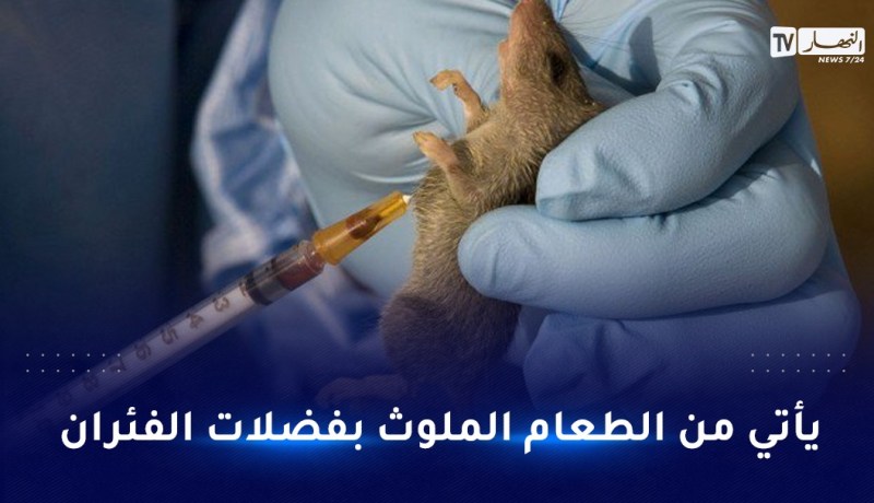 حمى لاسا.. فيروس نادر يسبب الصمم ينتشر في انجلترا ؟!