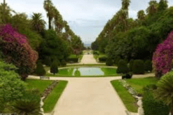 الحكومة تدرس تسيير الـمساحات الخضراء وحمايتها وتنميتها