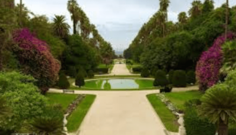 الحكومة تدرس تسيير الـمساحات الخضراء وحمايتها وتنميتها