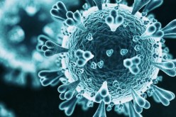 وباء جديد.. الصحة العالمية تحذر من تفشيه