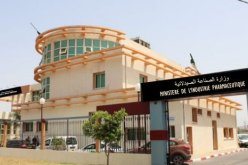 وزير الصناعة الصيدلانية: تصدير الدواء مسألة معقدة نوعا ما