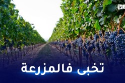 حالة استنفسار أمني في “العاصمة”.. مراهق يفر من “الفيتو” مكبلا بالأغلال