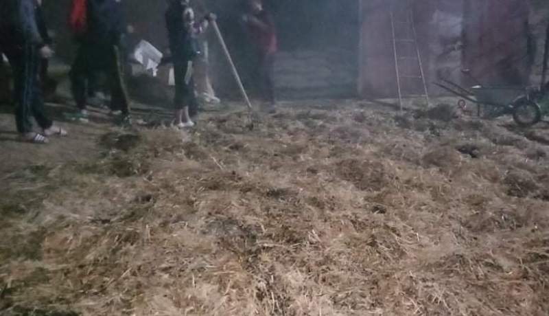 غليزان.. حريق يتسبب في نفوق 1000 صوص بإسطبل بدوار قدور بلحاج في حمري