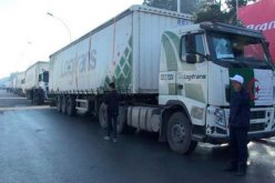 لوجيترانس.. إنشاء فرع جديد لتطوير النقل الدولي