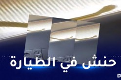 بالفيديو.. هبوط اضطراري لطائرة بسبب ثعبان