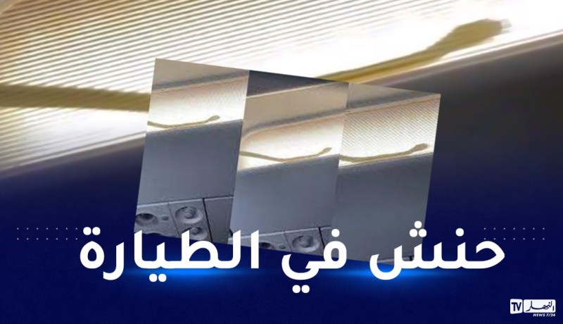 بالفيديو.. هبوط اضطراري لطائرة بسبب ثعبان