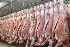 وزير الفلاحة يقدم عرضا حول إنتاج اللحوم الحمراء والبيضاء وأفاق تعزيز وتحسين هذا المنتوج