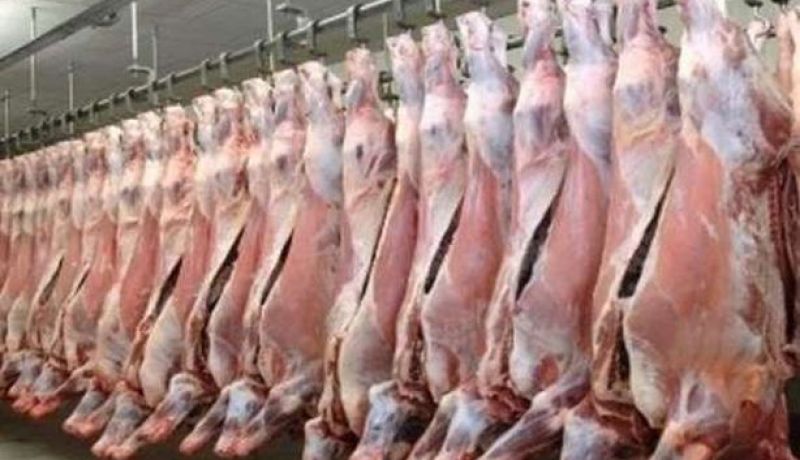 وزير الفلاحة يقدم عرضا حول إنتاج اللحوم الحمراء والبيضاء وأفاق تعزيز وتحسين هذا المنتوج