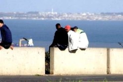 تعرف على عقوبة التصريح الكاذب والتزوير للإستفادة من منحة البطالة