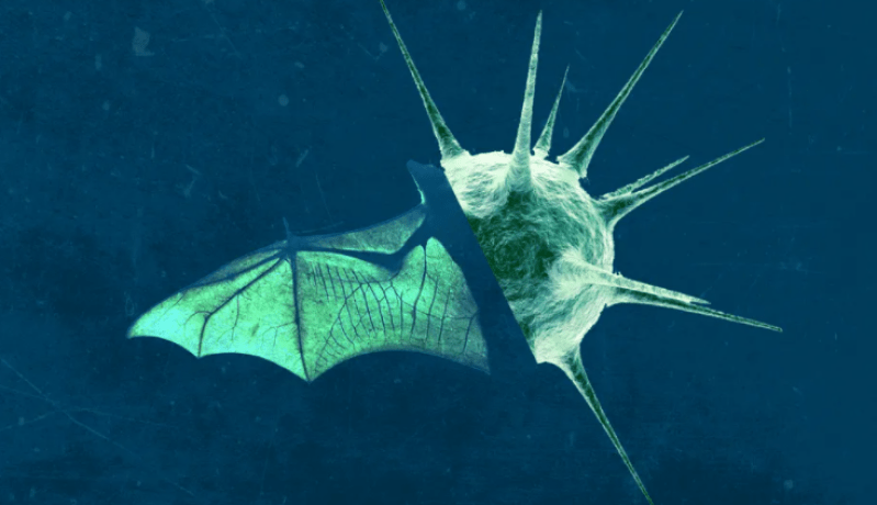 انتقال شرس ووفيات أكبر.. فيروس جديد يهدد البشرية