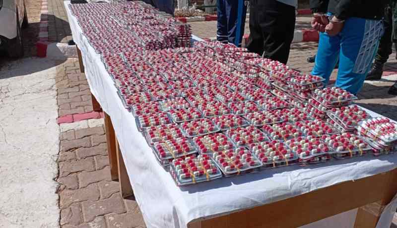 درك غرداية يحجز أزيد من 16 ألف قرص “بريغابالين”! 