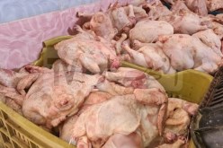 بجاية: حجز قرابة 10 قناطير من اللحوم البيضاء غير صالحة للإستهلاك