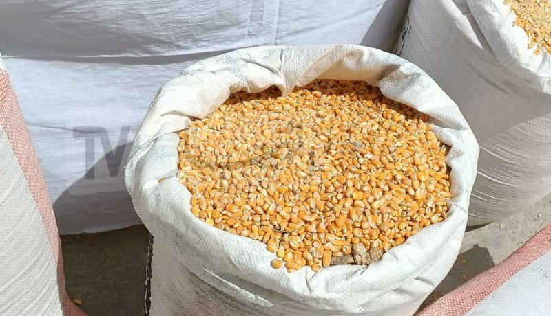 البيض: توقيف 8 أشخاص وحجز 79 قنطار من القمح موجه للمضاربة