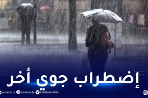 أمطار.. ثلوج وبرد على هذه الولايات بداية من ليلة الإثنين