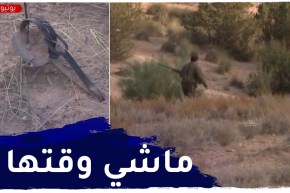 المسيلة : سلوكيات وتصرفات غير أخلاقية لبعض الصيادين تضر بالثروة بموسم التكاثر