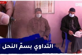 الشلف: التداوي بلسـعات النحل .. طب صيني يدخل الجزائر